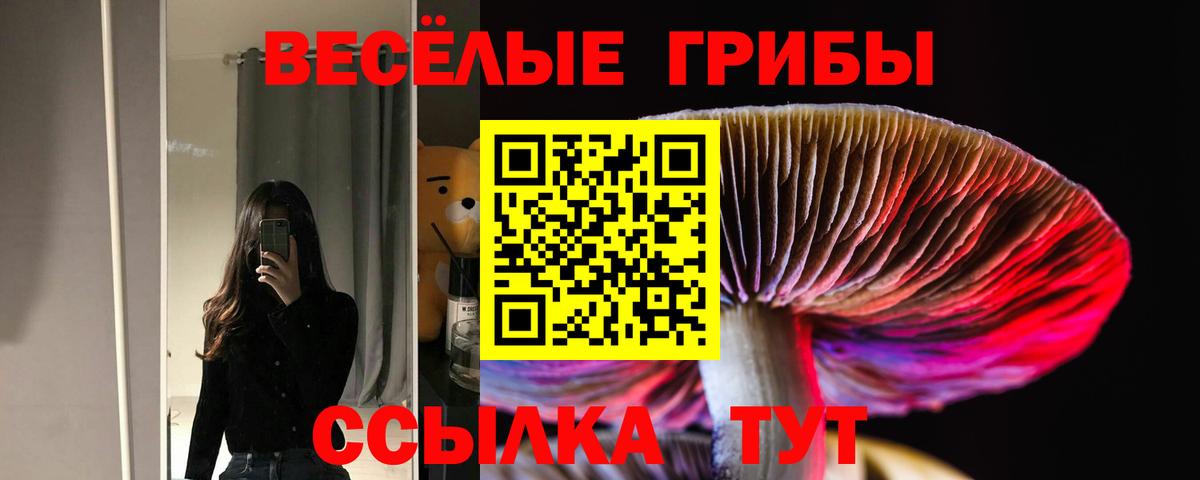 где купить   Галлюциногенные грибы прущие грибы  Вход с VPN  Кашира 